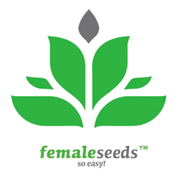 Female Seeds Female Seeds
